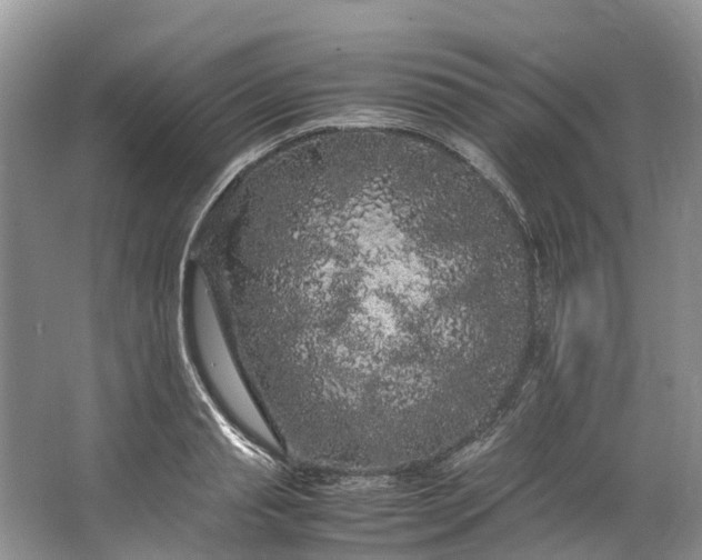 X0000062800845200601051109