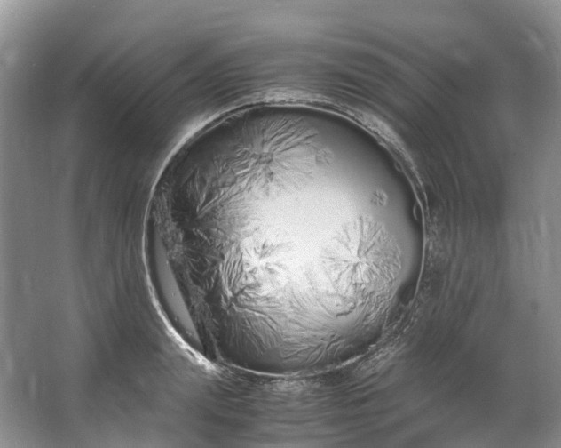 X0000062800847200601051110