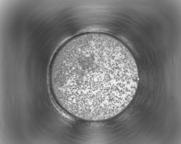 X0000062800848200601051110