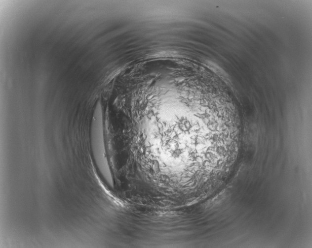 X0000062800849200601051110