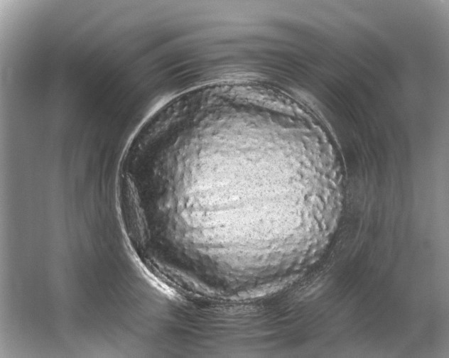 X0000062800851200601051110