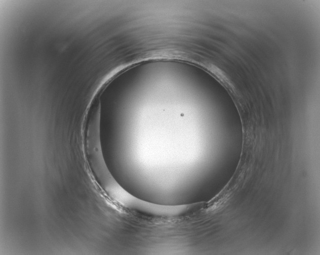 X0000062800854200601051110