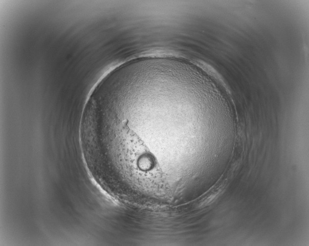 X0000062800855200601051110