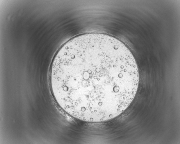 X0000062800856200601051110