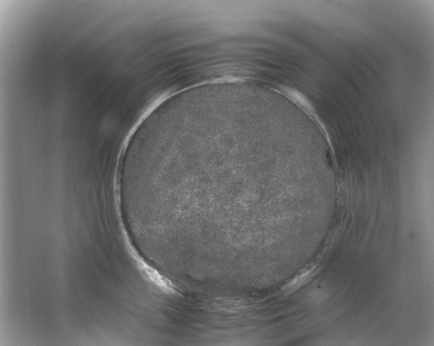 X0000062800859200601051110