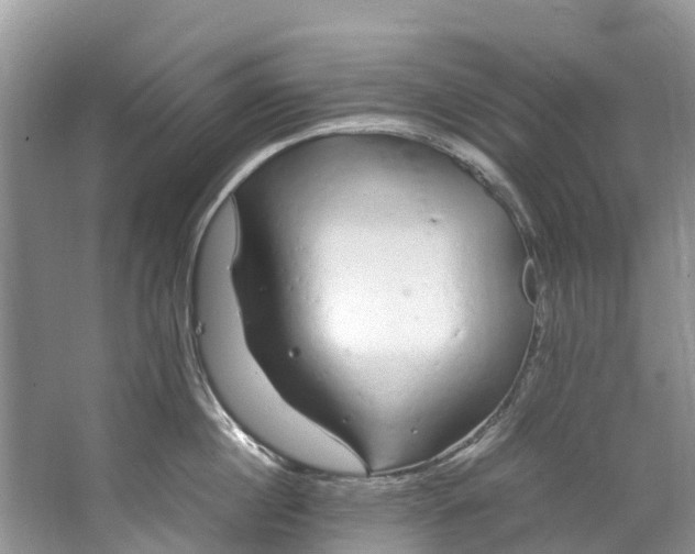 X0000062800860200601051110