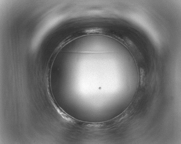 X0000062800861200601051110