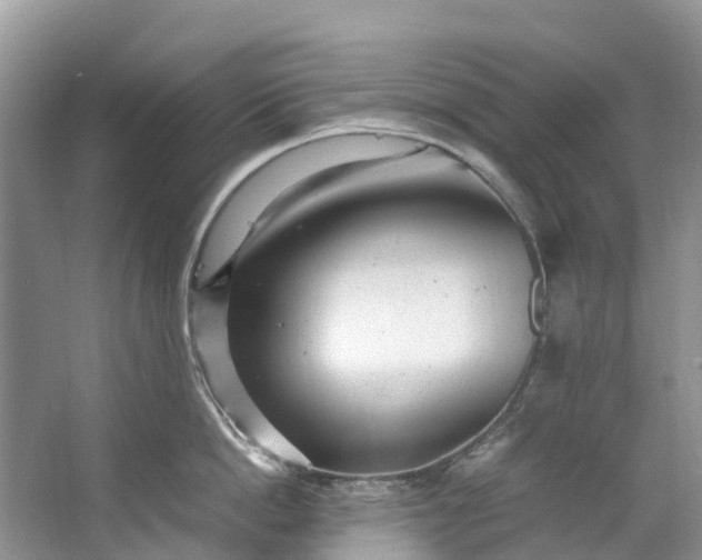 X0000062800862200601051110