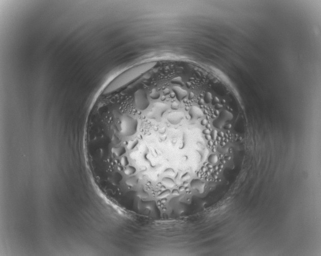 X0000062800863200601051110