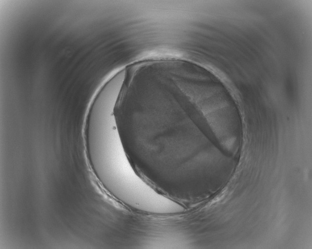 X0000062800864200601051110