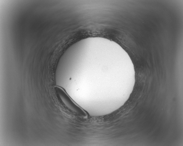 X0000062800865200601051109