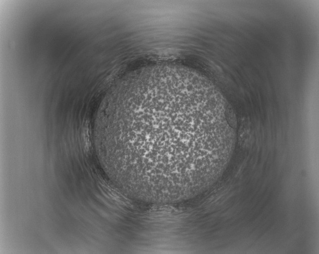 X0000062800866200601051109