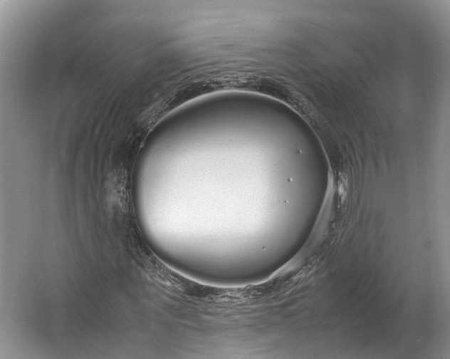 X0000062800867200601051109