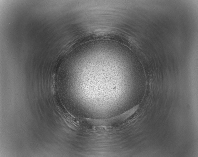 X0000062800868200601051109