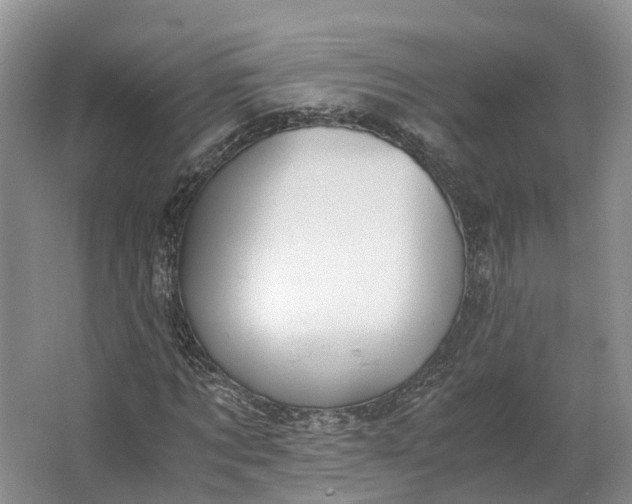 X0000062800869200601051109