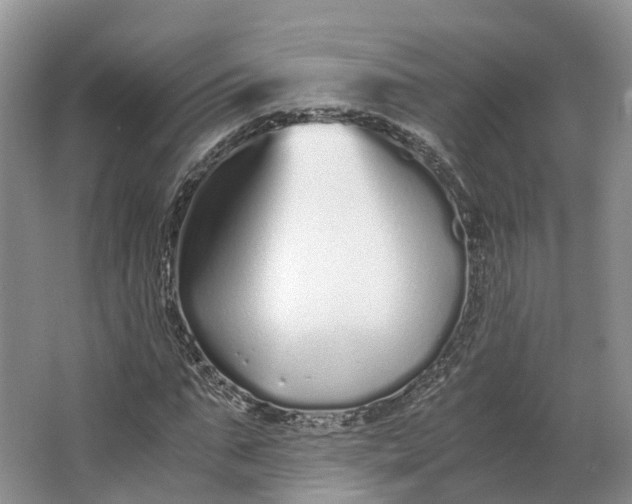 X0000062800871200601051109