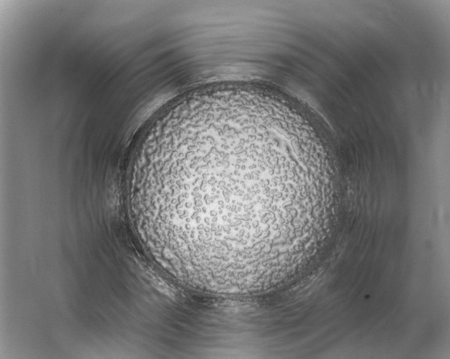 X0000062800874200601051109