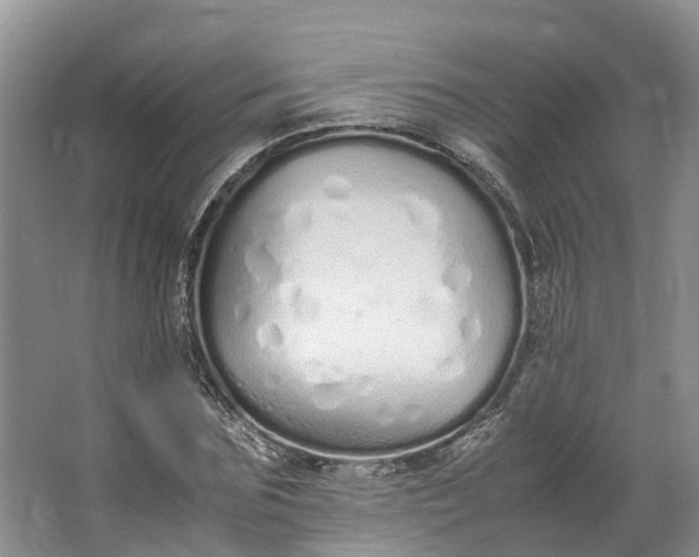 X0000062800875200601051109