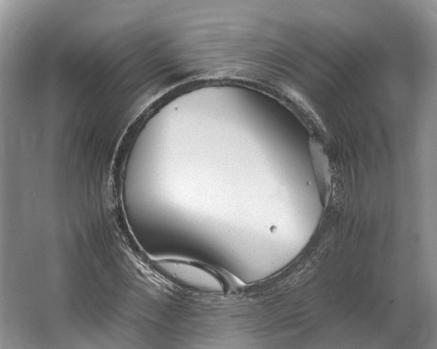 X0000062800876200601051109