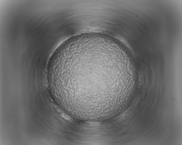 X0000062800878200601051109