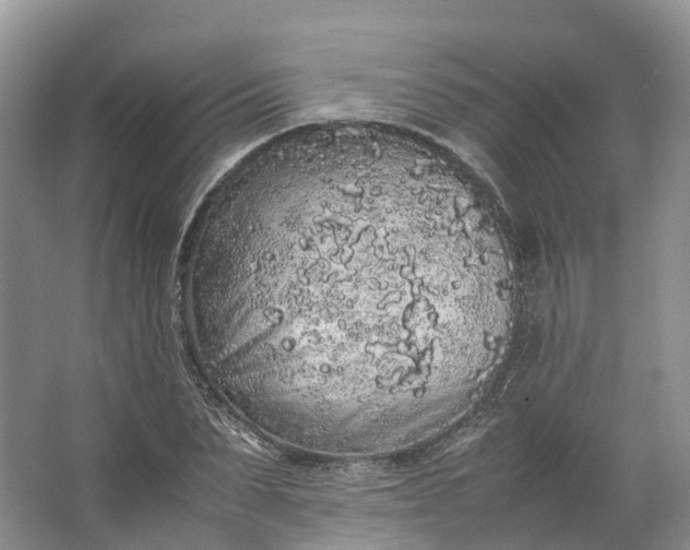 X0000062800879200601051109