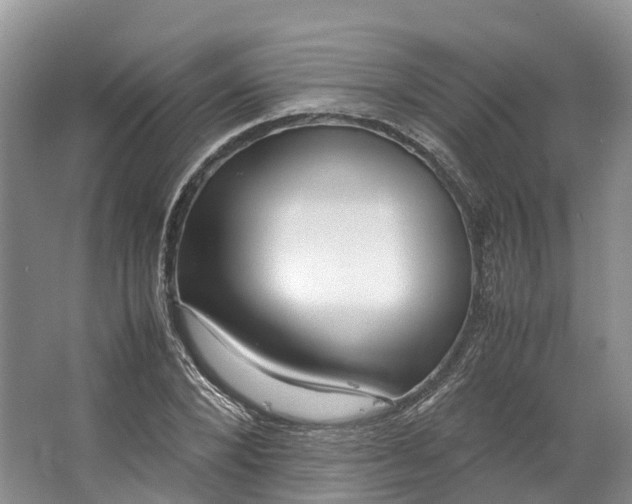 X0000062800880200601051109