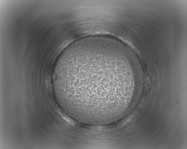 X0000062800881200601051109