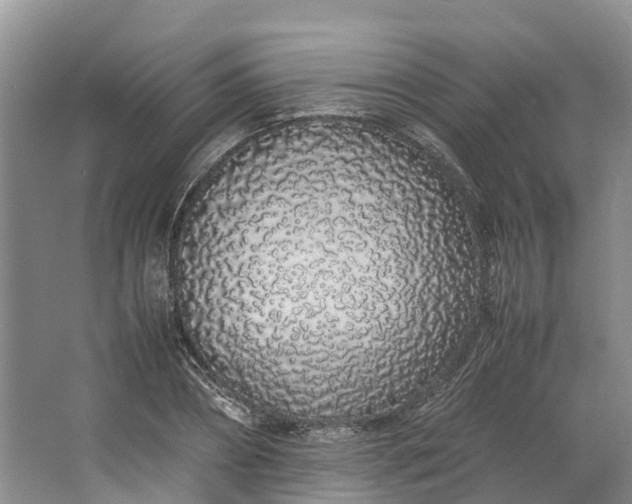 X0000062800882200601051109