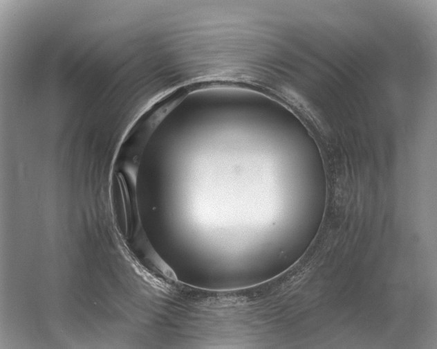 X0000062800884200601051109