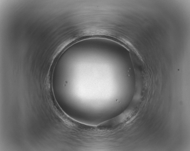 X0000062800885200601051109