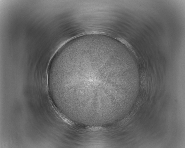 X0000062800886200601051109