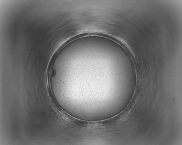 X0000062800887200601051109