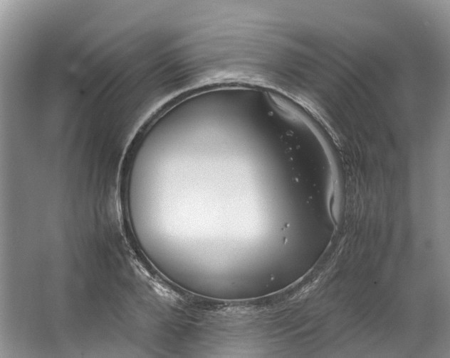 X0000062800888200601051109