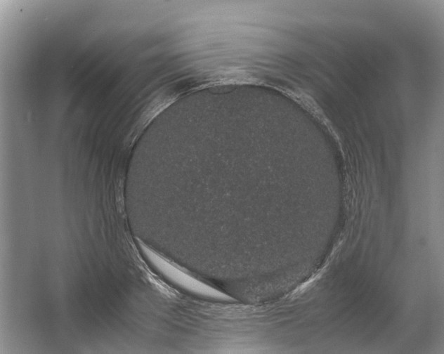 X0000062800889200601051109