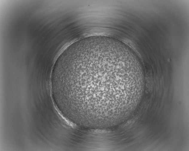 X0000062800890200601051109