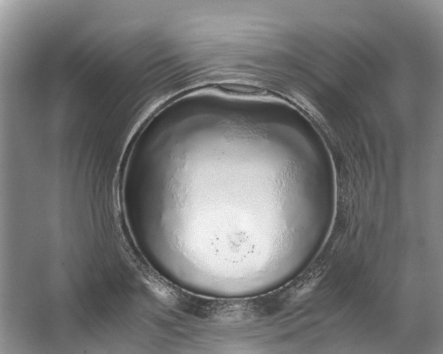 X0000062800891200601051109