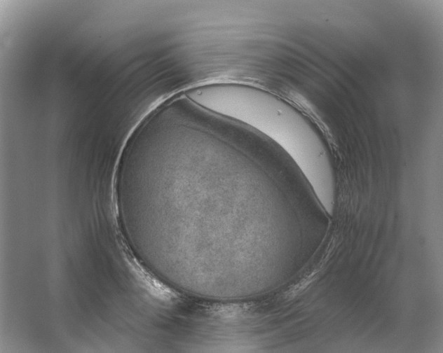 X0000062800892200601051109