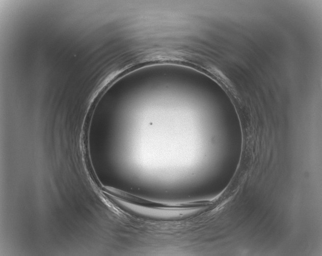 X0000062800893200601051109