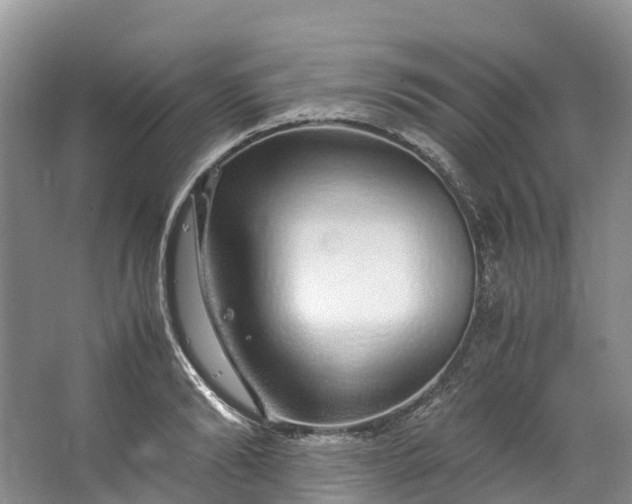 X0000062800894200601051109