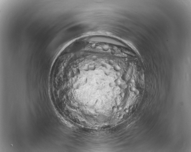 X0000062800895200601051108