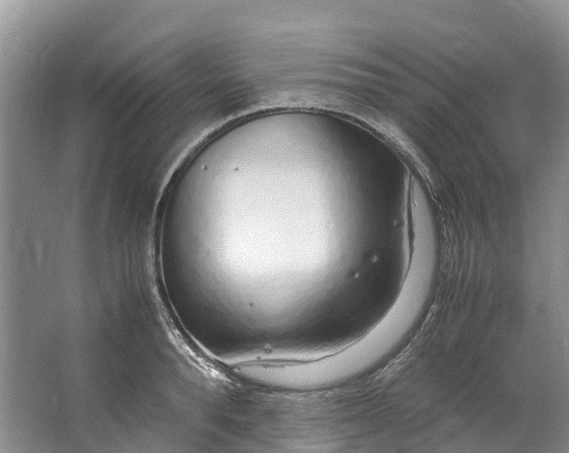 X0000062800896200601051108