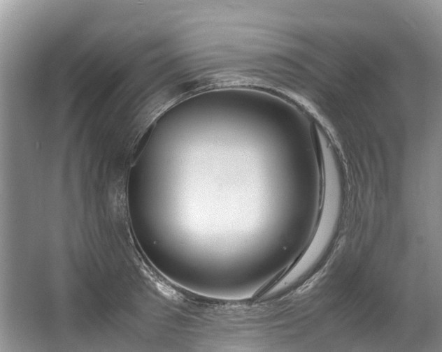 X0000062800897200601051108