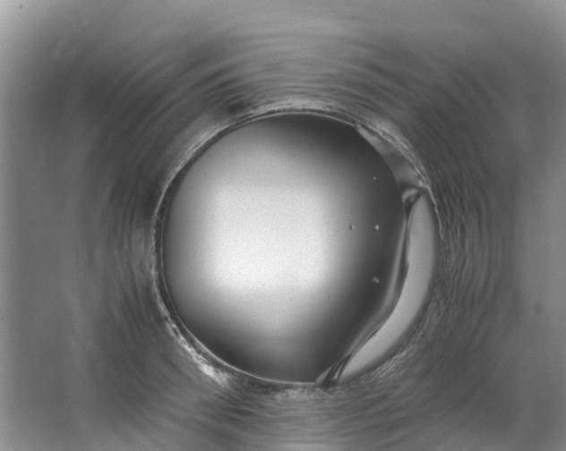 X0000062800898200601051108