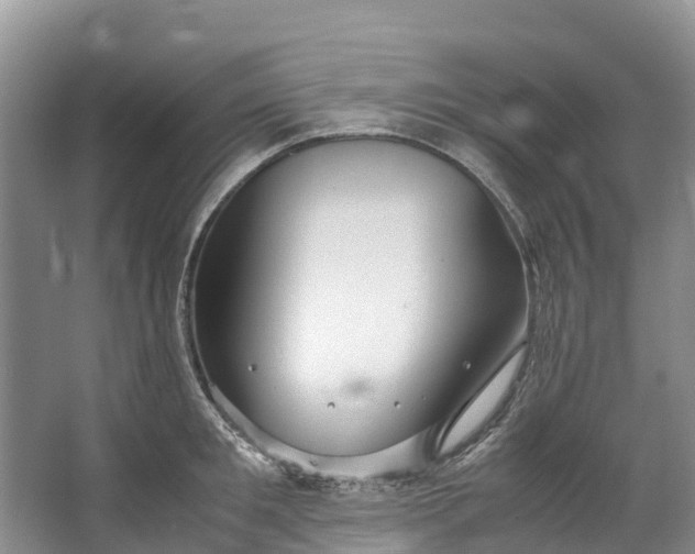 X0000062800901200601051108