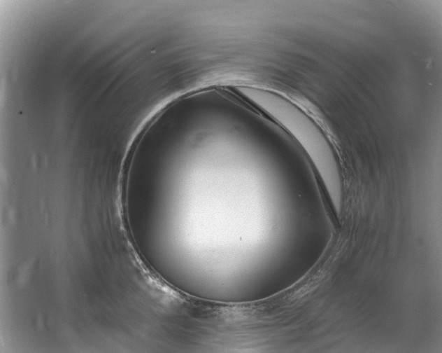 X0000062800904200601051108