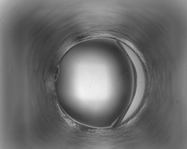 X0000062800905200601051108