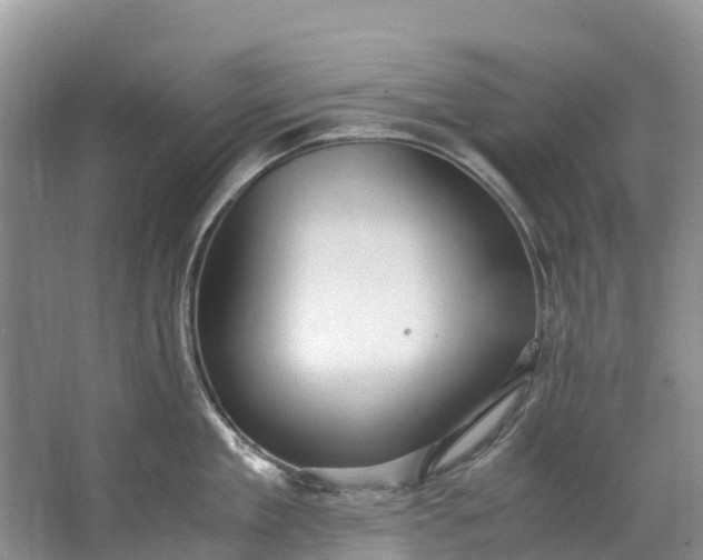 X0000062800909200601051108