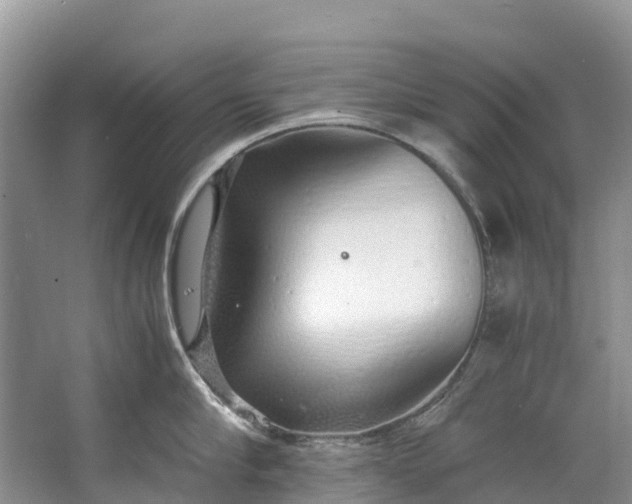 X0000062800910200601051108