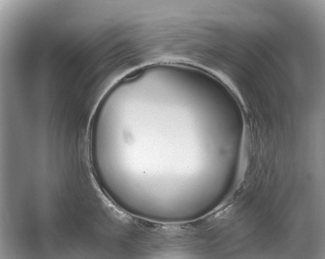 X0000062800911200601051108