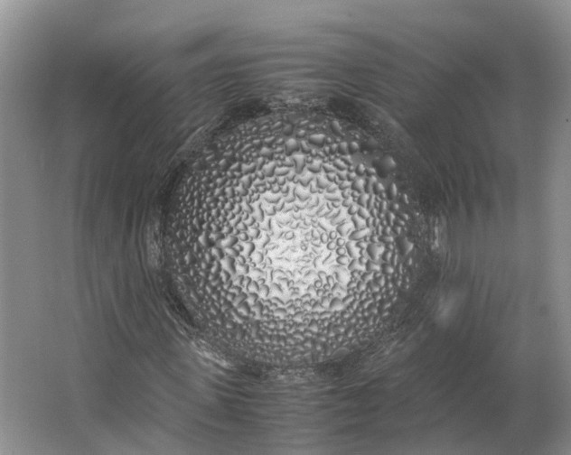 X0000062800915200601051107